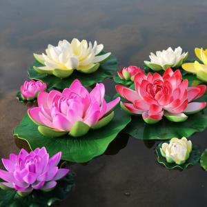 5pcs-mix-colors-and-beautiful-lotus-seeds